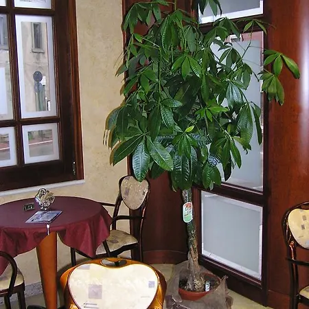 Hotel Mistral